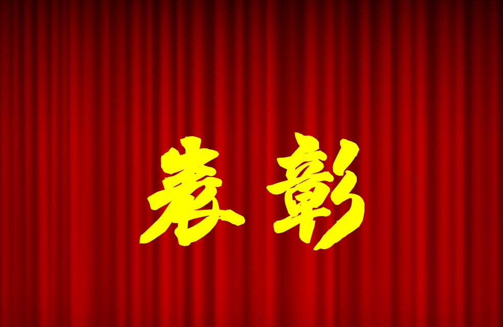 逐光前行、榮耀共鑒 | 公司2024年度表彰來啦！